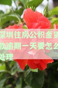 深圳公积金还款逾期一天会有不良记录吗？如何处理？