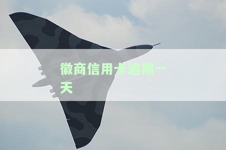 徽商信用卡逾期一天会怎么样，逾期一天会造成哪些影响？——徽商信用卡逾期后果解析