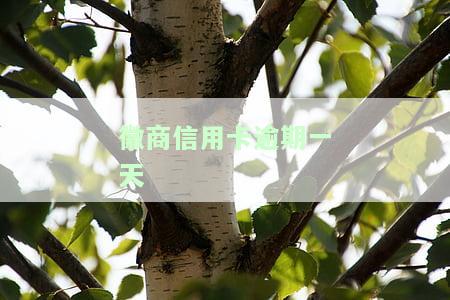 徽商银行晚还款一天：有何影响？