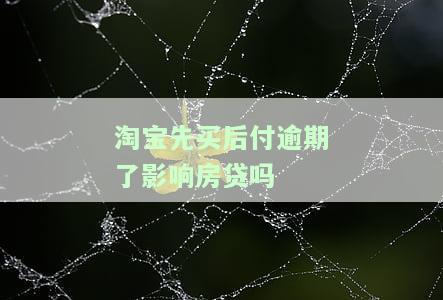 淘宝先用后付逾期后能否继续使用？安全性如何？