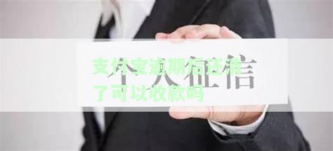 支付宝逾期还款后，多久能重新使用借呗？
