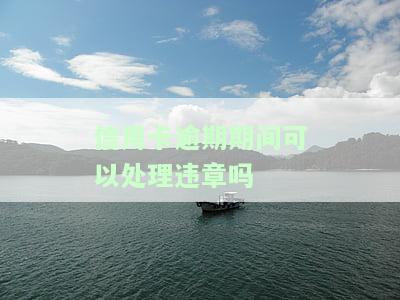 信用卡逾期期间可以处理违章吗，信用卡逾期期间，能否处理违章？