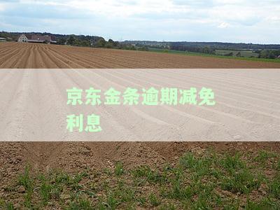 京东金条逾期还款如何减免滞纳金及费用？