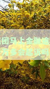 美团融逾期一万多会起诉吗？真的吗？
