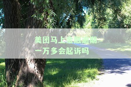 美团融逾期两天还完还能再借吗，美团融：逾期两天还款后，能否再次借款？