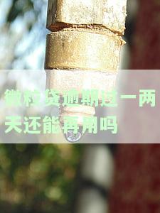 微粒贷逾期两天没事吗？影响及解决方法