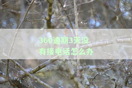 360逾期3天没有接电话怎么办呢，360贷款逾期3天未接电话，应该如何处理？