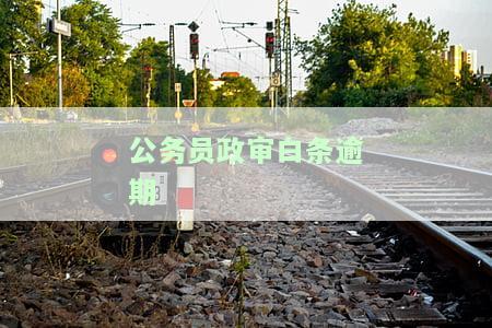 公务员政审白条逾期-公务员政审白条逾期会怎么样