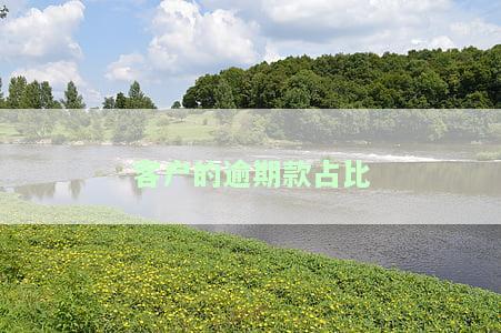 逾期客户分类详解：逾期客户分为哪几类类型？
