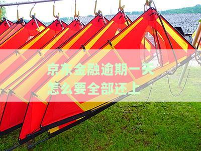 京东金融逾期一天：需要全额还款吗？若已还，能否继续使用？