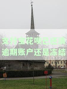 支付宝花呗已还清逾期账户还是冻结怎么回事，支付宝花呗逾期已还清，为何账户仍被冻结？