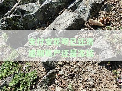 支付宝花呗逾期还清后为何仍被冻结？