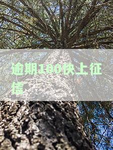 逾期一百多征信会怎么样，逾期一百多天，你的征信将会面临什么后果？