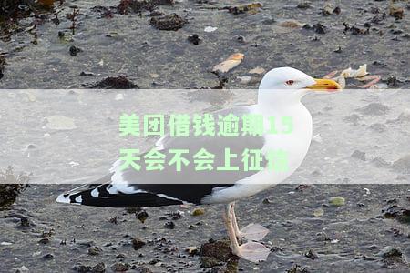 美团借钱逾期15天未还接看还该怎样处理，如何应对美团借钱逾期15天未还款的情况？