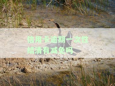 信用卡逾期一次性结清有减免吗，信用卡逾期一次性结清能否享受减免？