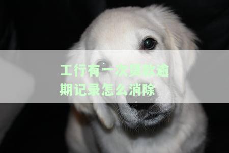 工行贷款逾期记录如何消除？信用卡逾期影响征信解决方案