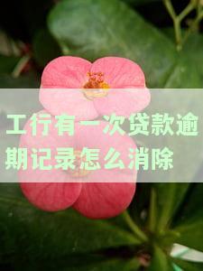 工行有一次贷款逾期记录怎么消除不了，如何解决工商银行贷款逾期记录无法消除的问题？