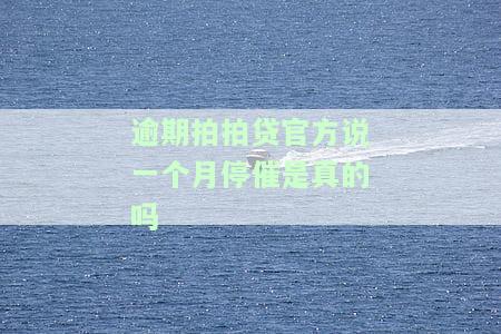 逾期拍拍贷官方说一个月停催是真的吗还是假的，探秘逾期拍拍贷：官方称一个月停催，真实情况如何？