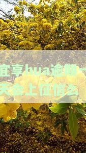 宜享花逾期一天罚多少利息，了解宜享花的逾期罚款政策：一天未还款需要支付多少利息？