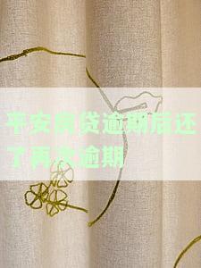 平安房贷逾期后还了再次逾期-平安房贷逾期后还了再次逾期会怎么样