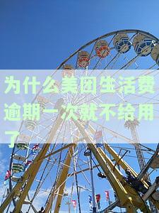 为什么美团生活费逾期一次就不给用了