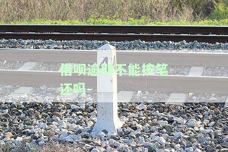 借呗逾期之后可以只还本金吗，借呗逾期后是否可以只还本金？答案在这里！