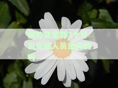 微粒贷逾期三个月会被起诉吗？影响与后果解析