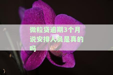 微粒贷逾期3个月说安排人员是真的吗
