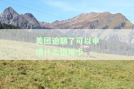 美团逾期后如何申请信用卡还款？全面解析还款方式