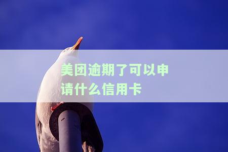 有逾期美团信用卡能下吗，美团信用卡逾期，还能申请吗？