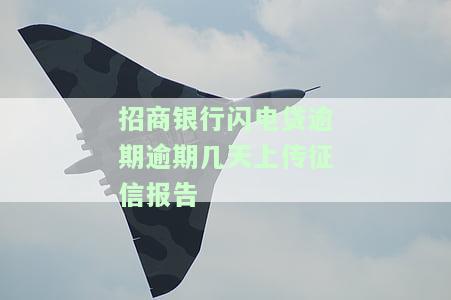 招商的闪电贷逾期多久上征信？逾期多久会被要求全额还款？