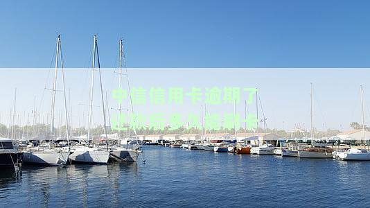 中信信用卡逾期，警惕！中信信用卡逾期可能带来的严重后果