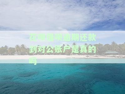 花呗借呗逾期还款到对公账户真的安全吗？