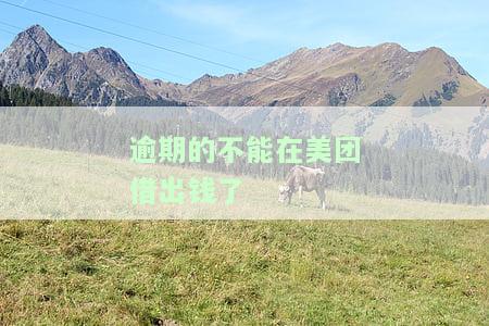 逾期的不能在美团借出钱了吗，美团借款：逾期后是否还能再次申请？