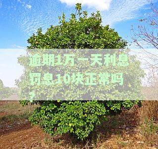 逾期1万一天利息罚息10块正常吗为什么，逾期1万每天罚息10块，这样的利息是否正常？原因何在？