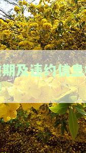 逾期及违约信息概要中各汇总信息中的余额填写说明