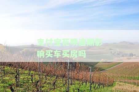支付宝花呗逾期会影响贷款买车吗？