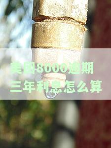 在美团欠了3600逾期了一百多天怎么办，美团欠款3600元逾期100天，如何解决？