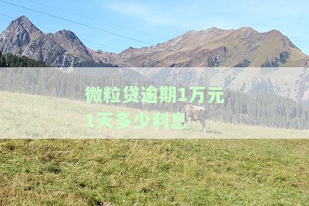 微粒贷逾期10000罚息：全年的具体金额是多少？