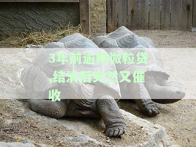 3年前逾期微粒贷,结清后突然又催收