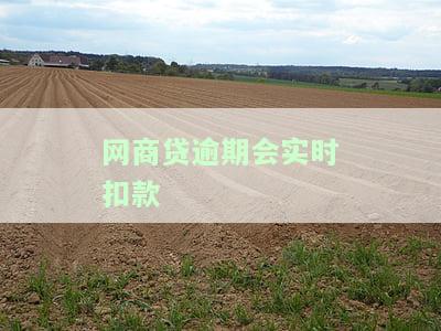网商贷逾期会实时扣款