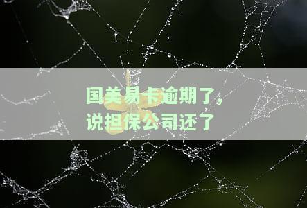 国美易卡逾期，担保公司代偿后被起诉，担保费合法性待考