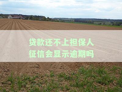 贷款还不上担保人征信会显示逾期吗？如何解决？