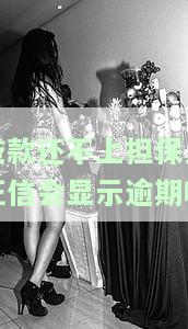 贷款还不上担保人征信会显示逾期吗