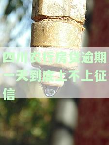 农行房贷逾期一天会否上征信记录?