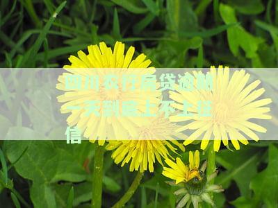 农业银行个人住房贷款逾期一天会影响征信吗，关于农业银行个人住房贷款逾期一天是否影响征信的疑问解答