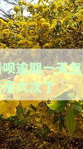 借呗逾期一天怎么显示六次了还款，为何借呗逾期一天却显示六次需要还款？