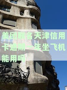 美团联名天津信用卡逾期一年，能否继续使用并乘坐飞机？安全性如何？如果已有逾期记录，还能申请其他信用卡吗？