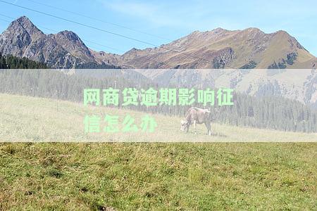 网商贷逾期影响征信怎么办