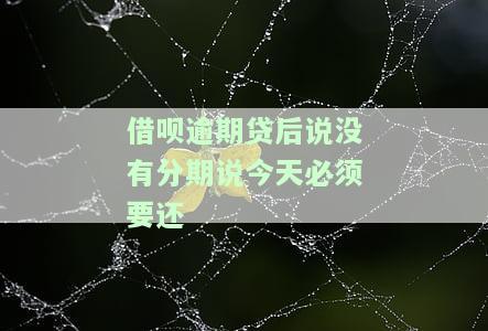 借呗分期逾期，无偿还能力？解决方案在此！